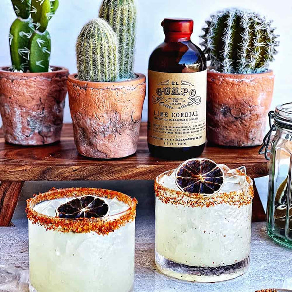 Two margaritas rimmed with Tajin with dehydrated lime garnishes in front of potted cacti and a bottle of El Guapo Lime Cordial.
