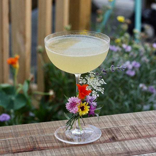 Bee's Knees cocktail in a coupe glass garnished with colorful wildflowers