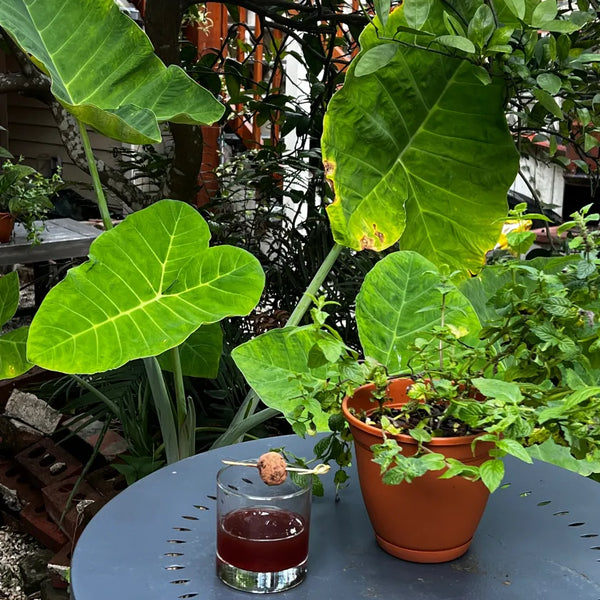 Give'm An Inch cocktail on a patio table next to a potted plant and lush green leaves