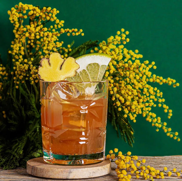 Chocolate cocktail garnished with fresh ginger slice and citrus wheel on a wooden coaster