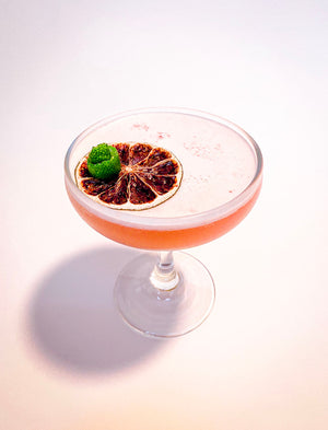 Dark rum and Aperol cocktail in a coupe glass with a dried citrus slice garnish