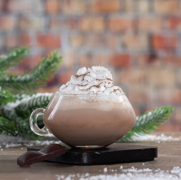 Smoky Hot Cocoa with whipped cream next to a pine branch and brick backdrop