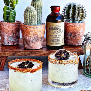 Two margaritas rimmed with Tajin with dehydrated lime garnishes in front of potted cacti and a bottle of El Guapo Lime Cordial.