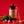 Bottle of El Guapo Candy Cane Syrup with candy canes and mint leaves on a red background