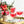 Red cocktails with candy canes and a bottle of El Camino Candy Cane Syrup on a gold tray.